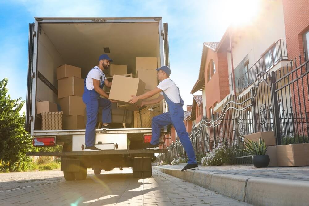 professional movers